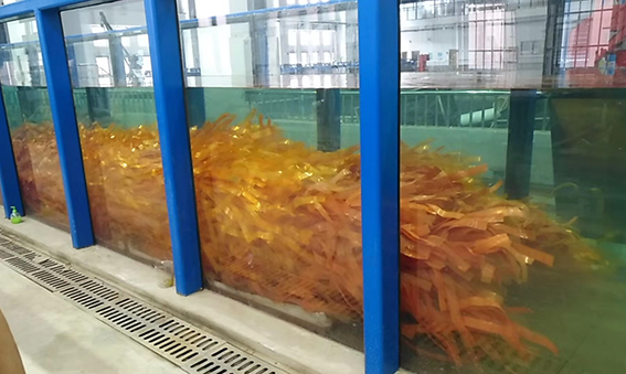 QQ图片20191226084135